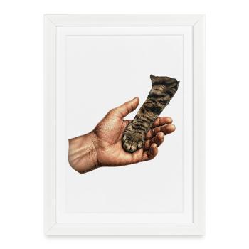 Motif patte de chat se tenant la main - Affiche encadrée (27 × 37 cm) - blanc - Devant