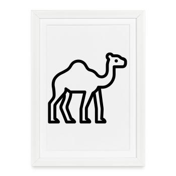chameau - Affiche encadrée (27 × 37 cm) - blanc - Devant