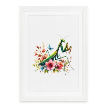 Mante religieuse - Affiche encadrée (27 × 37 cm) - blanc - Devant