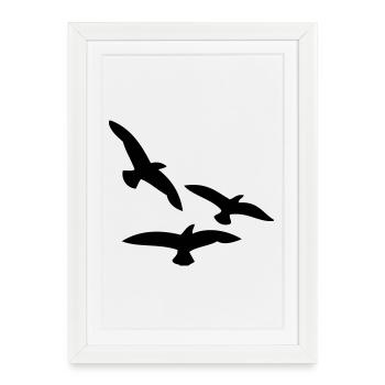 Oiseaux - Affiche encadrée (27 × 37 cm) - blanc - Devant