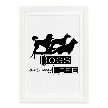 Dogs are my Life chien animal cadeau animal - Affiche encadrée (27 × 37 cm) - blanc - Devant