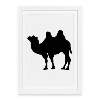 chameau - Affiche encadrée (27 × 37 cm) - blanc - Devant