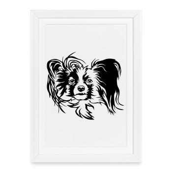 Papillon Head - Framed poster (27 × 37 cm) - white - Front