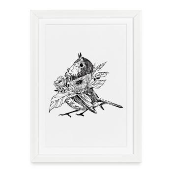 Robin Nature Love - Framed poster (27 × 37 cm) - white - Front