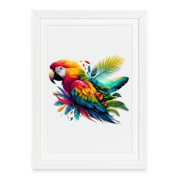 Perroquet - Affiche encadrée (27 × 37 cm) - blanc - Devant