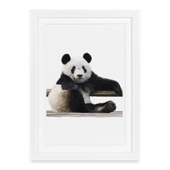 Panda - Affiche encadrée (27 × 37 cm) - blanc - Devant