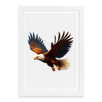 Aigle - Affiche encadrée (27 × 37 cm) - blanc - Devant