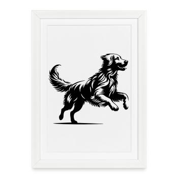 Golden Retriever - Framed poster (27 × 37 cm) - white - Front