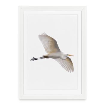 Great White Egret in Flight - Photography - Framed poster (27 × 37 cm) - white - Front