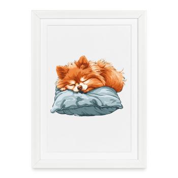 Spitz endormi sur un oreiller - Affiche encadrée (27 × 37 cm) - blanc - Devant