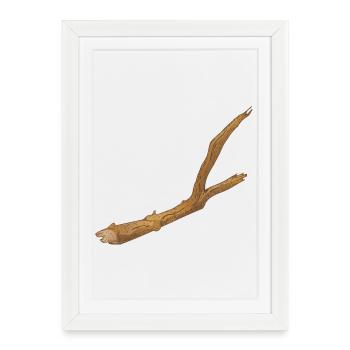 une branche cassée d’un arbre - Affiche encadrée (27 × 37 cm) - blanc - Devant