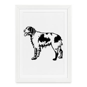 Epagneul Breton - Affiche encadrée (27 × 37 cm) - blanc - Devant