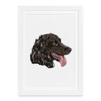 Quaildog - Affiche encadrée (27 × 37 cm) - blanc - Devant