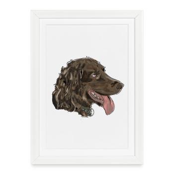Quaildog - Affiche encadrée (27 × 37 cm) - blanc - Devant