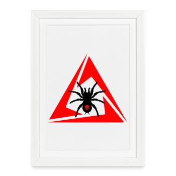 Araignée - Affiche encadrée (27 × 37 cm) - blanc - Devant