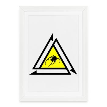 Araignée - Affiche encadrée (27 × 37 cm) - blanc - Devant