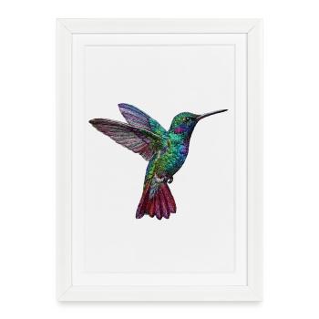 Colibri en aspect brodé (imprimé) - Affiche encadrée (27 × 37 cm) - blanc - Devant