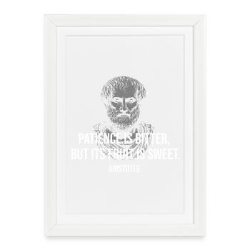 Portrait de la citation d’Aristote Patience - Affiche encadrée (27 × 37 cm) - blanc - Devant