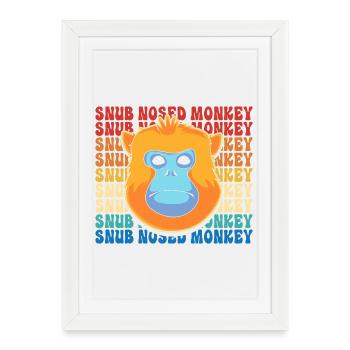 Singe à nez court Chimpanzé singe - Affiche encadrée (27 × 37 cm) - blanc - Devant