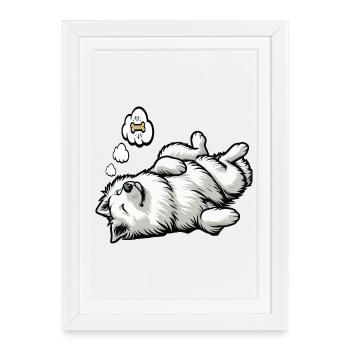 Chiens bergers blancs bergers - Affiche encadrée (27 × 37 cm) - blanc - Devant