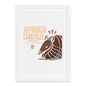 Armadillo Drôle Armadillo Texas - Affiche encadrée (27 × 37 cm) - blanc - Devant