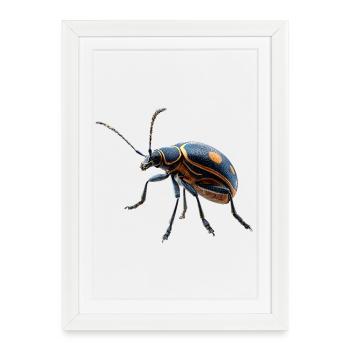 Chatte-coq, Mignon scarabée cerf, Scarabée rhinocéros, Insectes - Affiche encadrée (27 × 37 cm) - blanc - Devant
