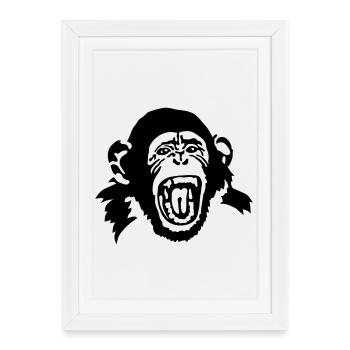 singe - Affiche encadrée (27 × 37 cm) - blanc - Devant