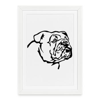 Tête de bouledogue anglais - Affiche encadrée (27 × 37 cm) - blanc - Devant