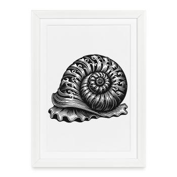 escargot ornemental orné en noir et blanc - Affiche encadrée (27 × 37 cm) - blanc - Devant