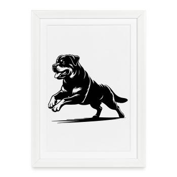 Rottweiler - Affiche encadrée (27 × 37 cm) - blanc - Devant