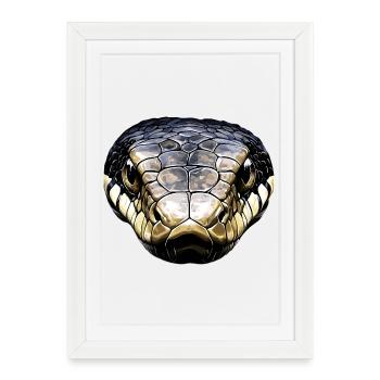 serpent, python, cobra, serpent à sonnettes, serpents - Affiche encadrée (27 × 37 cm) - blanc - Devant