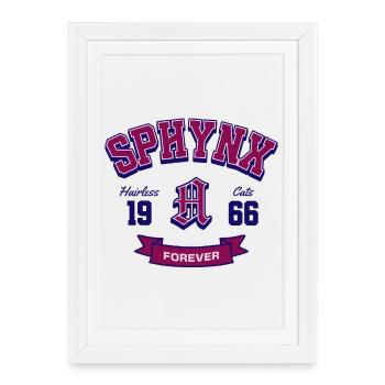 Sphynx Cats Forever Classic Varsity Style - Framed poster (27 × 37 cm) - white - Front