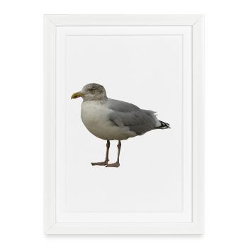 Mouette sur la plage Illustration - Affiche encadrée (27 × 37 cm) - blanc - Devant