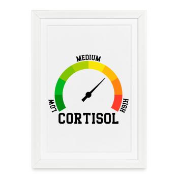 Low Cortisol Low Level Even - Framed poster (27 × 37 cm) - white - Front