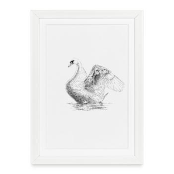 Swan - Affiche encadrée (27 × 37 cm) - blanc - Devant