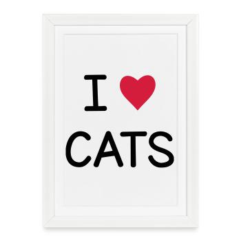 I love Cats cadeau pour les amis chats - Affiche encadrée (27 × 37 cm) - blanc - Devant