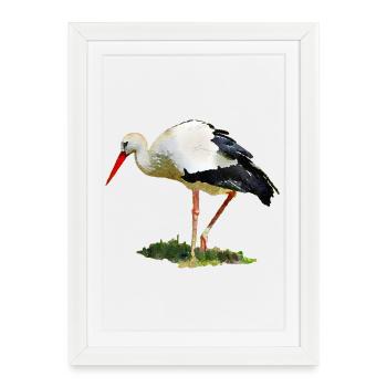 stork - Framed poster (27 × 37 cm) - white - Front