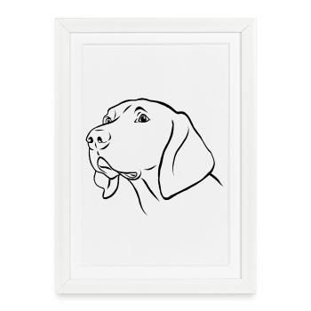 Weimaraner portrait - Framed poster (27 × 37 cm) - white - Front