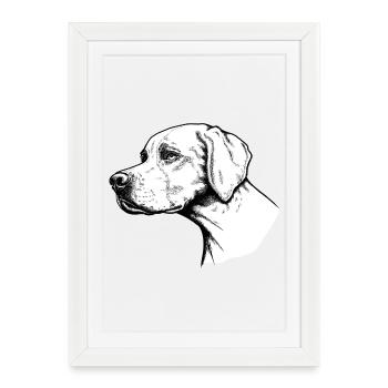 Pointer Portrait - Framed poster (27 × 37 cm) - white - Front