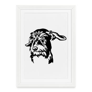 Tête de teckel - Affiche encadrée (27 × 37 cm) - blanc - Devant