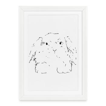 Lièvre - Affiche encadrée (27 × 37 cm) - blanc - Devant