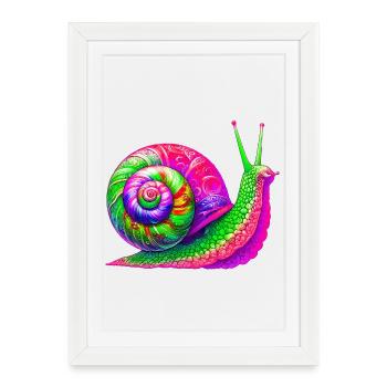 Escargot - Affiche encadrée (27 × 37 cm) - blanc - Devant