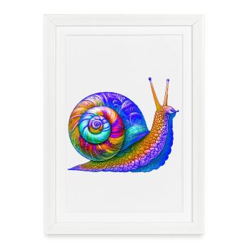 Snail - Framed poster (27 × 37 cm) - white - Front