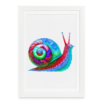 Escargot - Affiche encadrée (27 × 37 cm) - blanc - Devant