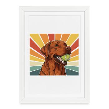 Labrador rouge renard avec une balle dans la bouche au design rétro - Affiche encadrée (27 × 37 cm) - blanc - Devant