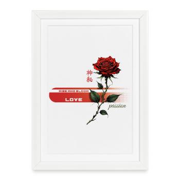 Rose pourpre de la passion - Affiche encadrée (27 × 37 cm) - blanc - Devant