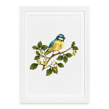 Oiseau coloré - Affiche encadrée (27 × 37 cm) - blanc - Devant