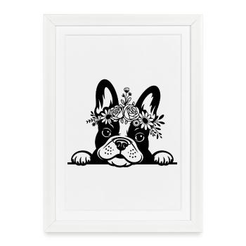 Bouledogue français - Affiche encadrée (27 × 37 cm) - blanc - Devant