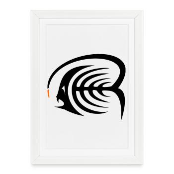 Poisson-grenouille - Affiche encadrée (27 × 37 cm) - blanc - Devant