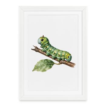 Papilio Caterpillar Swallowtail on Branch - Framed poster (27 × 37 cm) - white - Front